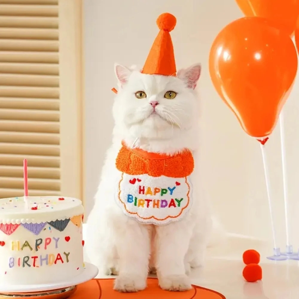 Orange Party Hat and Bib Set for Pets